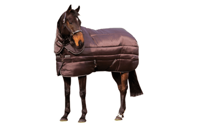 The Best Horse Stable Rugs That Your Horses Will Love To Wear
