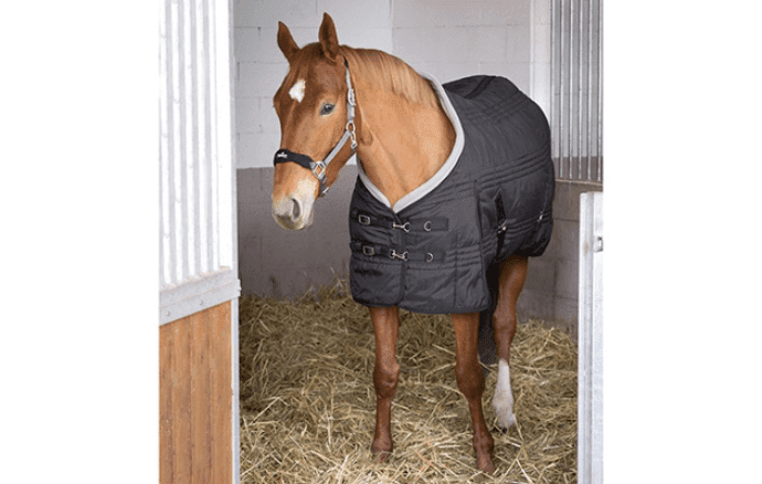 best horse stable rugs