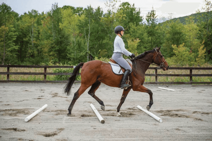 Common Beginner Horse Riding Mistakes