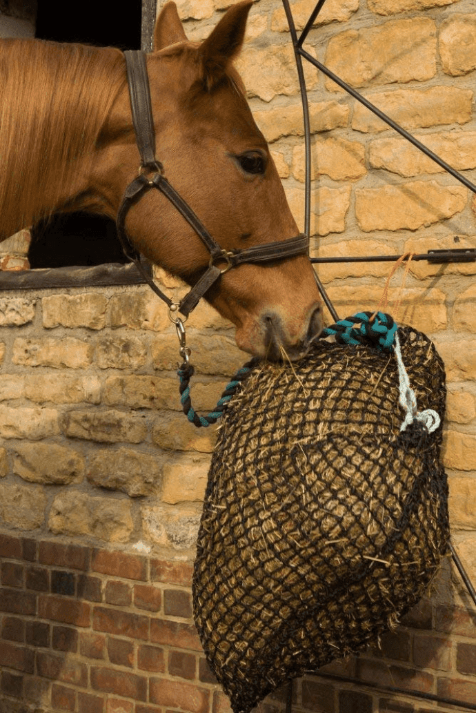 Products prevents the horse from box rest