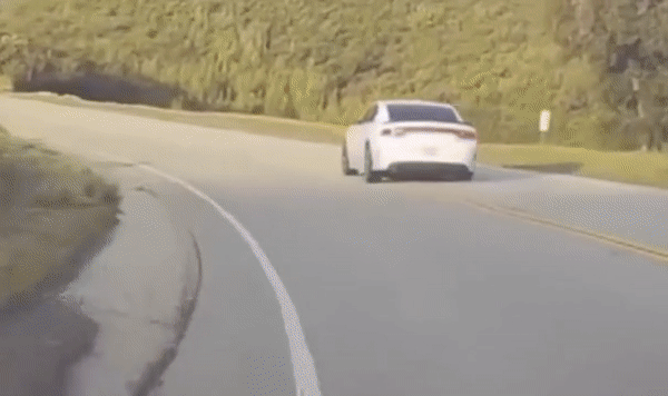 Watch A Dodge Driver Charge Into And Knock Out A Power Pole